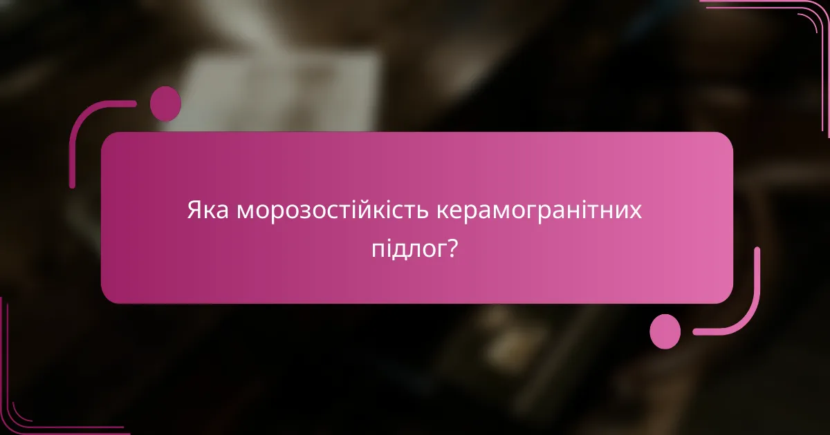 Яка морозостійкість керамогранітних підлог?